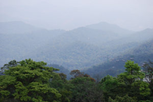 Ba Na Hills, Da Nang, Vietnam | Photography by Jenny S.W. Lee