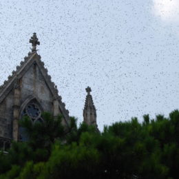 Ba Na Hills, Da Nang, Vietnam | Photography by Jenny S.W. Lee