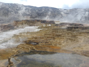Mammoth Hot Spring | Yellowstone National Park | Photography by Jenny S.W. Lee