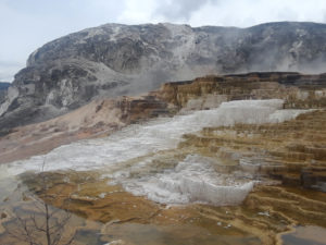 Mammoth Hot Spring | Yellowstone National Park | Photography by Jenny S.W. Lee