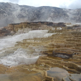 Mammoth Hot Spring | Yellowstone National Park | Photography by Jenny S.W. Lee