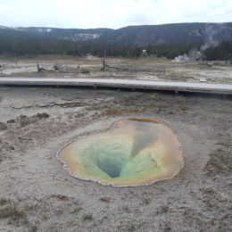 West Thumb Geyser Basin | Yellowstone National Park | Photography by Jenny S.W. Lee