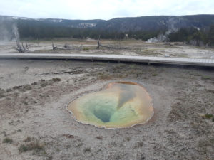 West Thumb Geyser Basin | Yellowstone National Park | Photography by Jenny S.W. Lee