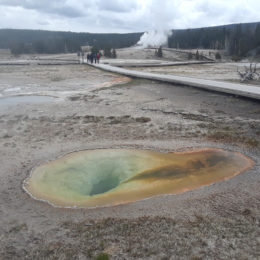 West Thumb Geyser Basin | Yellowstone National Park | Photography by Jenny S.W. Lee