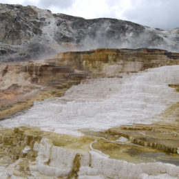 Mammoth Hot Spring | Yellowstone National Park | Photography by Jenny S.W. Lee