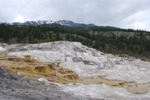 Mammoth Hot Spring | Yellowstone National Park | Photography by Jenny S.W. Lee