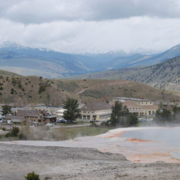 Mammoth Hot Spring | Yellowstone National Park | Photography by Jenny S.W. Lee