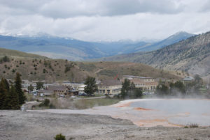 Mammoth Hot Spring | Yellowstone National Park | Photography by Jenny S.W. Lee