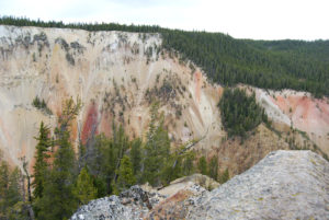 Artist Point Yellowstone National Park | Photography by Jenny S.W. Lee