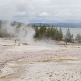 West Thumb Geyser Basin | Yellowstone National Park | Photography by Jenny S.W. Lee