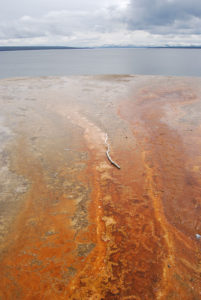 West Thumb Geyser Basin | Yellowstone National Park | Photography by Jenny S.W. Lee