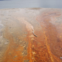 West Thumb Geyser Basin | Yellowstone National Park | Photography by Jenny S.W. Lee