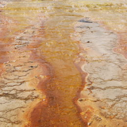 West Thumb Geyser Basin | Yellowstone National Park | Photography by Jenny S.W. Lee