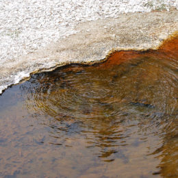 West Thumb Geyser Basin | Yellowstone National Park | Photography by Jenny S.W. Lee