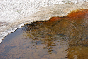 West Thumb Geyser Basin | Yellowstone National Park | Photography by Jenny S.W. Lee