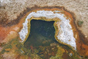 West Thumb Geyser Basin | Yellowstone National Park | Photography by Jenny S.W. Lee