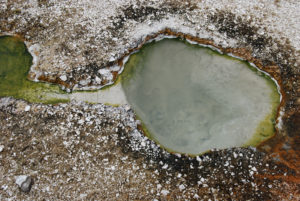 West Thumb Geyser Basin | Yellowstone National Park | Photography by Jenny S.W. Lee