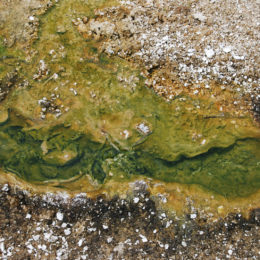 West Thumb Geyser Basin | Yellowstone National Park | Photography by Jenny S.W. Lee