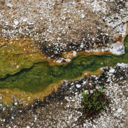 West Thumb Geyser Basin | Yellowstone National Park | Photography by Jenny S.W. Lee
