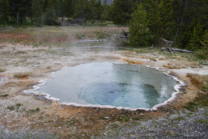 Old Faithful | Upper Geyser Basin | Yellowstone National Park | Photography by Jenny S.W. Lee