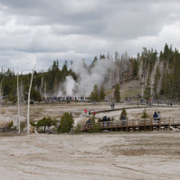 Old Faithful | Upper Geyser Basin | Yellowstone National Park | Photography by Jenny S.W. Lee