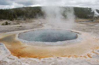 Old Faithful | Upper Geyser Basin | Yellowstone National Park | Photography by Jenny S.W. Lee