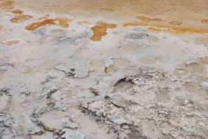 Old Faithful | Upper Geyser Basin | Yellowstone National Park | Photography by Jenny S.W. Lee