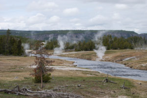 Old Faithful | Upper Geyser Basin | Yellowstone National Park | Photography by Jenny S.W. Lee