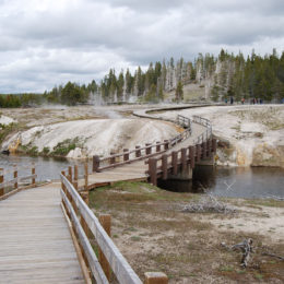 Old Faithful | Upper Geyser Basin | Yellowstone National Park | Photography by Jenny S.W. Lee