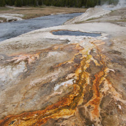 Old Faithful | Upper Geyser Basin | Yellowstone National Park | Photography by Jenny S.W. Lee