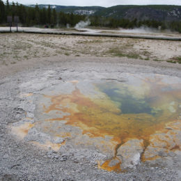 Old Faithful | Upper Geyser Basin | Yellowstone National Park | Photography by Jenny S.W. Lee