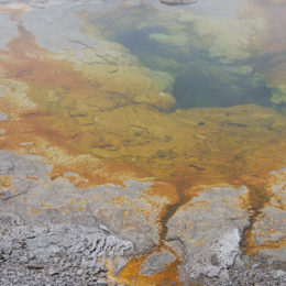 Old Faithful | Upper Geyser Basin | Yellowstone National Park | Photography by Jenny S.W. Lee