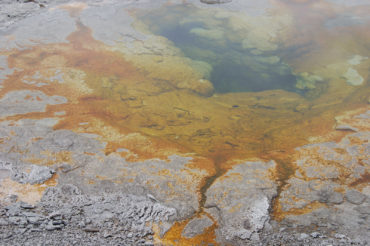 Old Faithful | Upper Geyser Basin | Yellowstone National Park | Photography by Jenny S.W. Lee