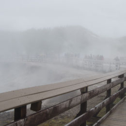 Grand Prismatic Hot Spring | Midway Geyser Basin | Photography by Jenny S.W. Lee
