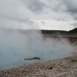 Grand Prismatic Hot Spring | Midway Geyser Basin | Photography by Jenny S.W. Lee