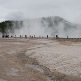 Grand Prismatic Hot Spring | Midway Geyser Basin | Photography by Jenny S.W. Lee