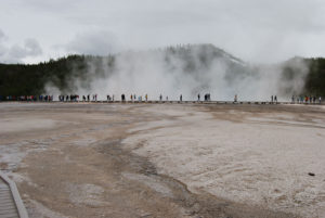Grand Prismatic Hot Spring | Midway Geyser Basin | Photography by Jenny S.W. Lee