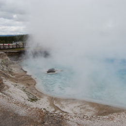 Grand Prismatic Hot Spring | Midway Geyser Basin | Photography by Jenny S.W. Lee