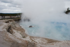 Grand Prismatic Hot Spring | Midway Geyser Basin | Photography by Jenny S.W. Lee