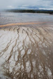 Grand Prismatic Hot Spring | Midway Geyser Basin | Photography by Jenny S.W. Lee