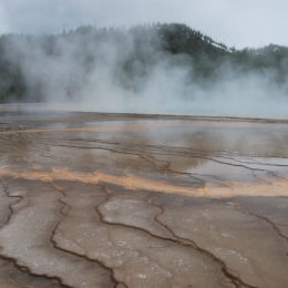 Grand Prismatic Hot Spring | Midway Geyser Basin | Photography by Jenny S.W. Lee