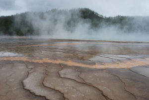 Grand Prismatic Hot Spring | Midway Geyser Basin | Photography by Jenny S.W. Lee