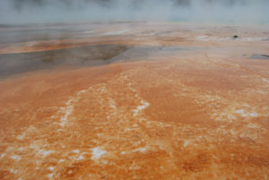 Grand Prismatic Hot Spring | Midway Geyser Basin | Photography by Jenny S.W. Lee