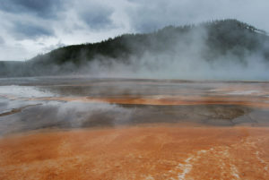 Grand Prismatic Hot Spring | Midway Geyser Basin | Photography by Jenny S.W. Lee