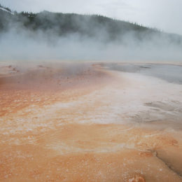 Grand Prismatic Hot Spring | Midway Geyser Basin | Photography by Jenny S.W. Lee