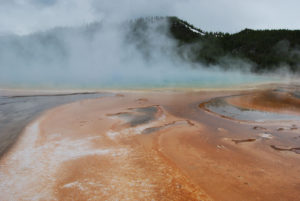 Grand Prismatic Hot Spring | Midway Geyser Basin | Photography by Jenny S.W. Lee