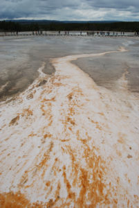 Grand Prismatic Hot Spring | Midway Geyser Basin | Photography by Jenny S.W. Lee