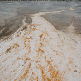 Grand Prismatic Hot Spring | Midway Geyser Basin | Photography by Jenny S.W. Lee