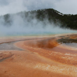 Grand Prismatic Hot Spring | Midway Geyser Basin | Photography by Jenny S.W. Lee