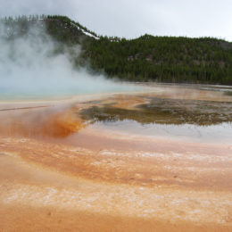 Grand Prismatic Hot Spring | Midway Geyser Basin | Photography by Jenny S.W. Lee